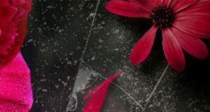 Der gnadenlose Quarterback