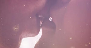 Boston Tigers - Fast Break Kiss