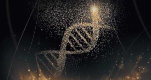 Divinus - Das Flutprotokoll