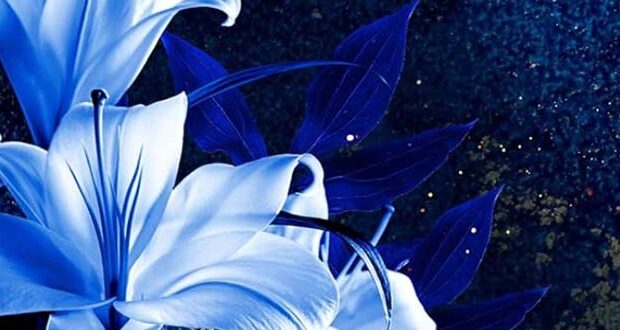 Forbidden Pleasures of London