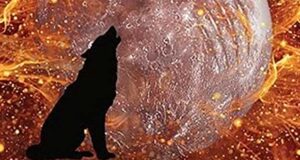 Golden Flames x Silvery Moonlight