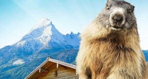 MILLIRAHMSTRUDELMORD