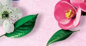 Before You Say Goodbye