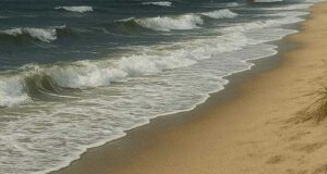 Scharfer Mord auf Sylt