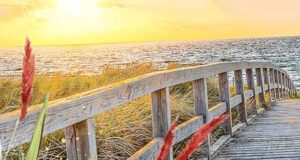 Feuer und Meer