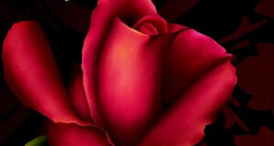 Rose'N Chains - Marcus