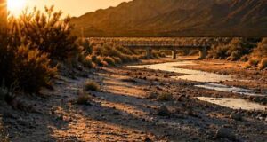 Tatort Arizona