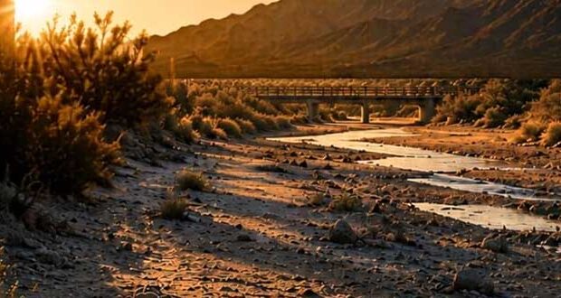 Tatort Arizona