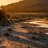 Tatort Arizona