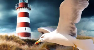 Tatort Ostsee