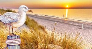 Sommerwind auf Sylt