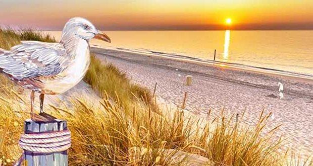 Sommerwind auf Sylt