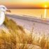 Sommerwind auf Sylt