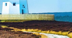 Der Mord in der Heide