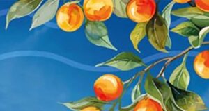 Orangentraum und Wellenschaum