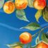 Orangentraum und Wellenschaum
