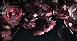 Black Summer