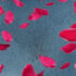 The Secret That Binds Us