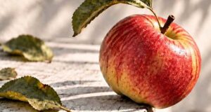 Wenn der letzte Apfel fällt