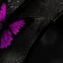 Sweet Savage Love